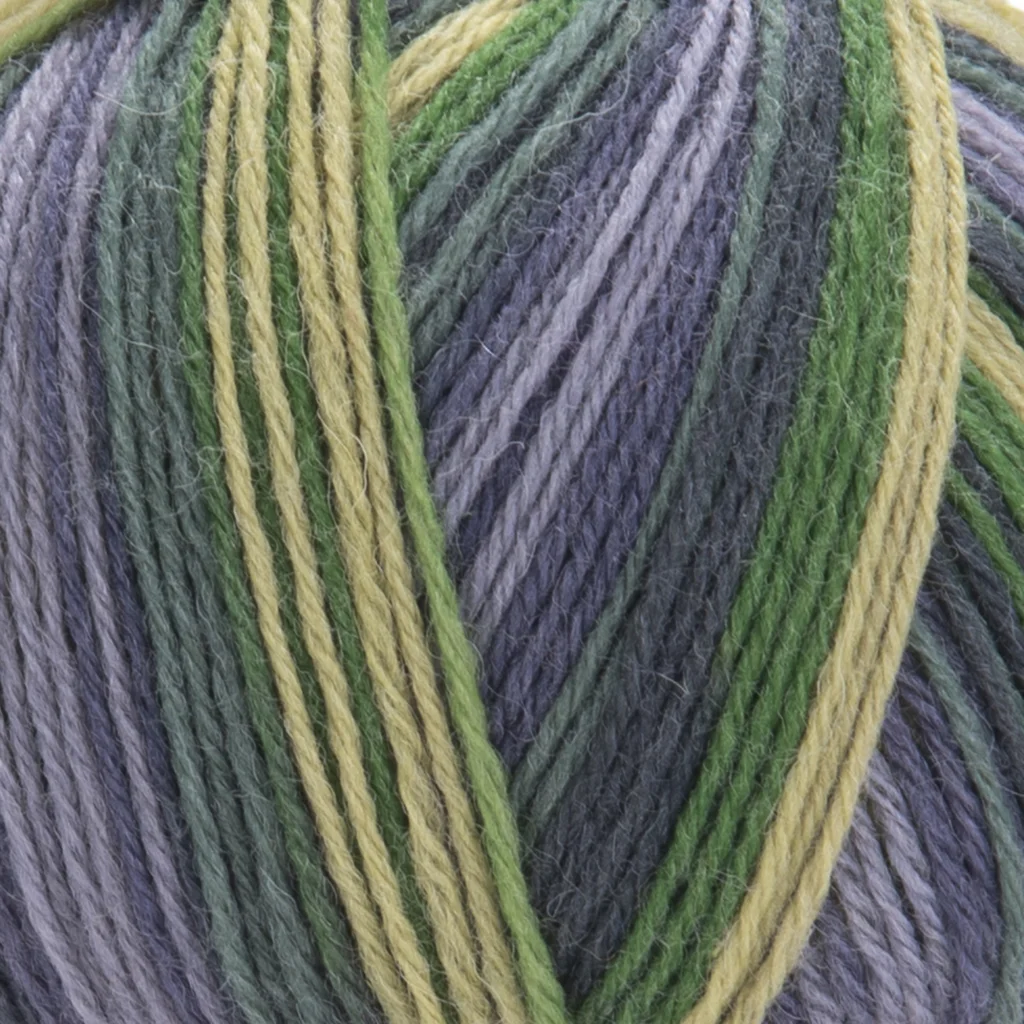 YarnArt Forza 2505