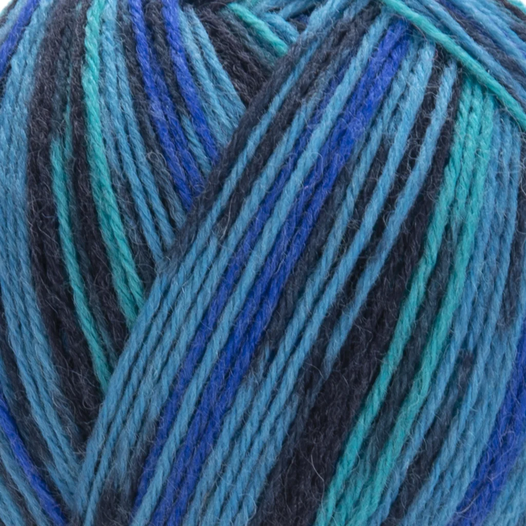 YarnArt Forza 2507