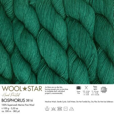Gazzal Wool Star 3816