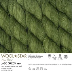 Gazzal Wool Star 3817