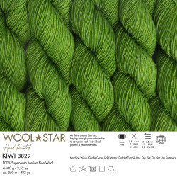 Gazzal Wool Star 3829