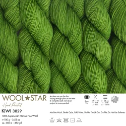 Gazzal Wool Star 3829